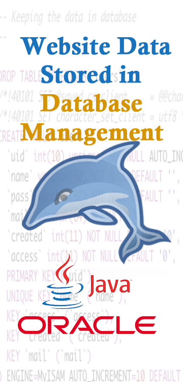 mysql