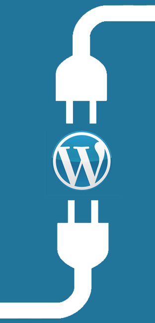 Wordpress Website Development in Chennai